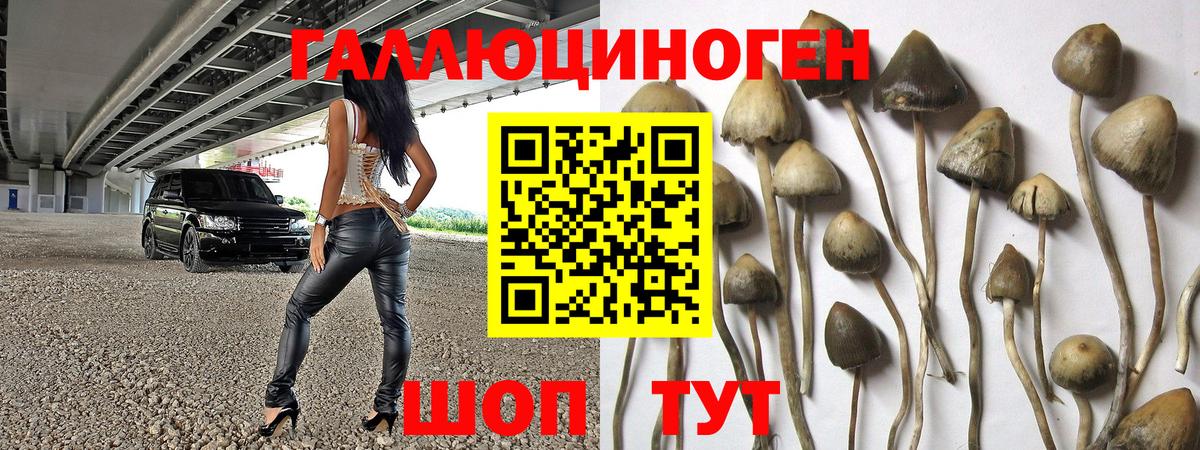 Галлюциногенные грибы мухоморы Амурск